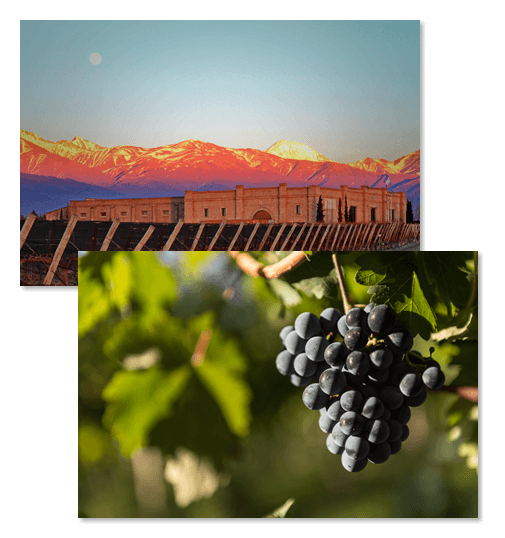 Atardecer en Bodega Andeluna