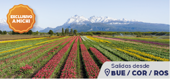 Bariloche con Campo de Tulipanes
